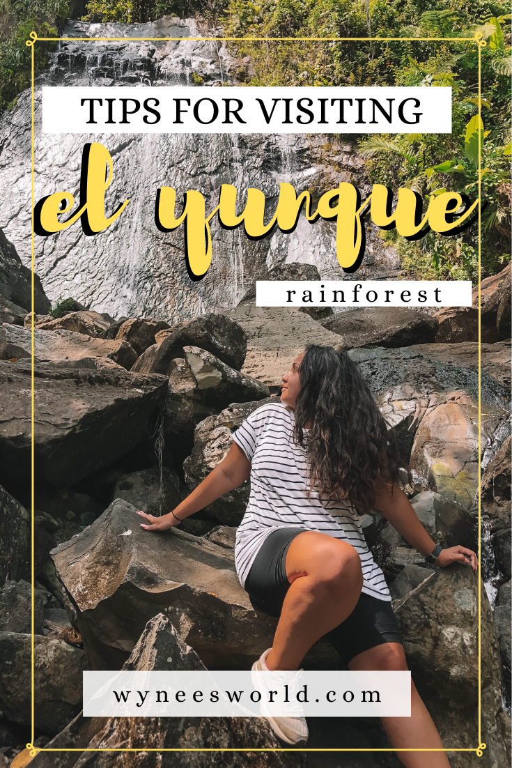 The Best Tips To Visiting El Yunque National Forest - Wynee's World